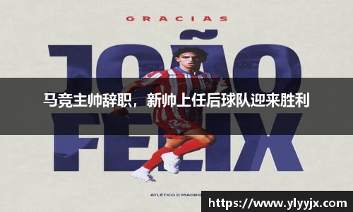 米乐m6