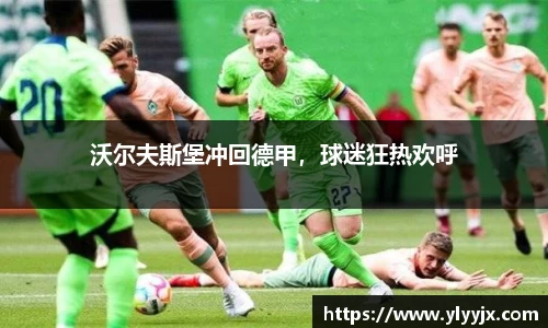 米乐m6