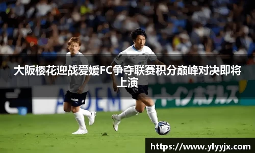 YY易游体育
