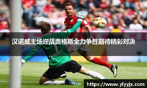 YY体育
